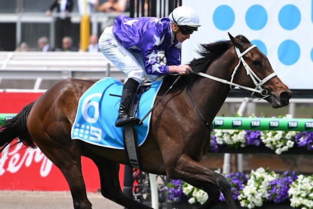 James McDonald riding Aeliana winning Race 1, the Channel 9 Carbine Club Stakes.