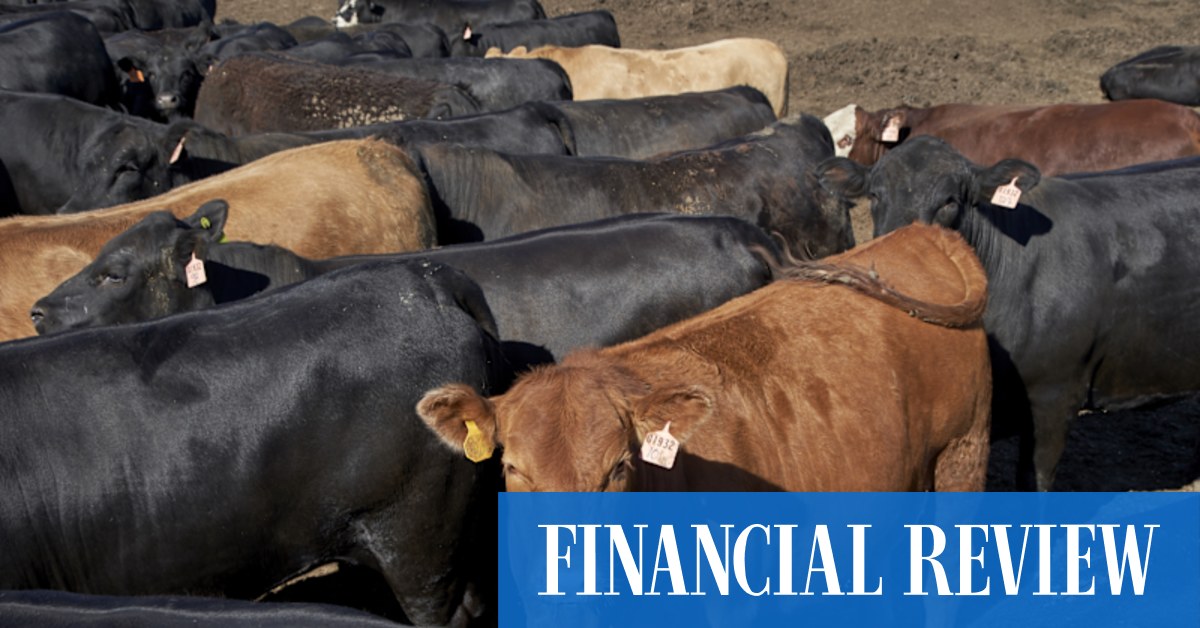 Indonesian wealth fund takes $3.6b stake in Australian meat giant JBS