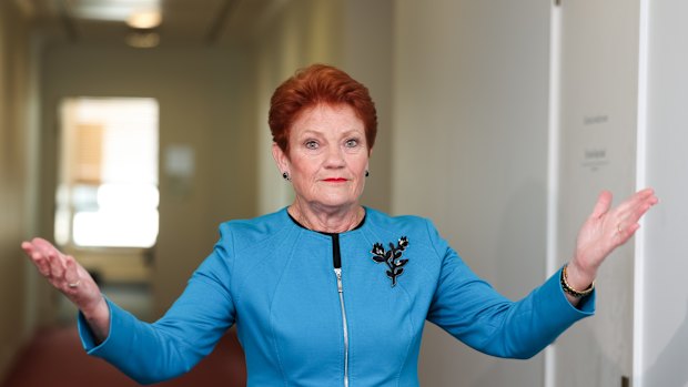 Does Pauline Hanson have any policies up her sleeve?