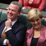 'Doesn't reflect well on the political class': Liberal MP takes a swipe at Christopher Pyne's new job