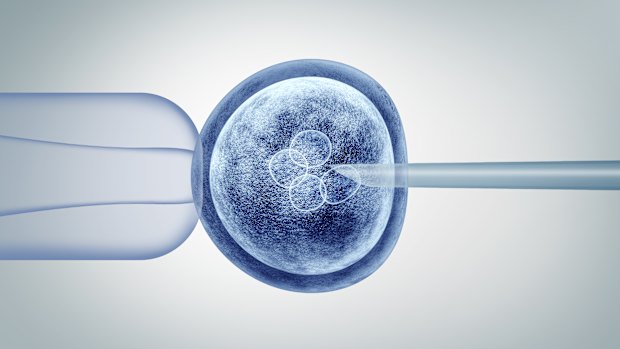 Victoria’s health regulator has placed conditions on Monash IVF following a second embryo mix-up.