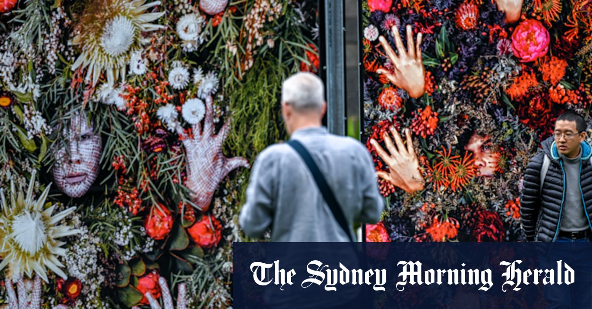 Photo 2022 transforms Melbourne with stunning public art display - Vimarsana News