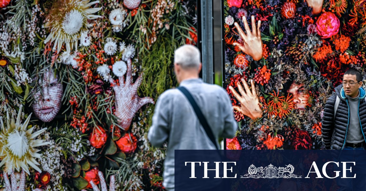 Photo 2022 transforms Melbourne with stunning public art display - Vimarsana News
