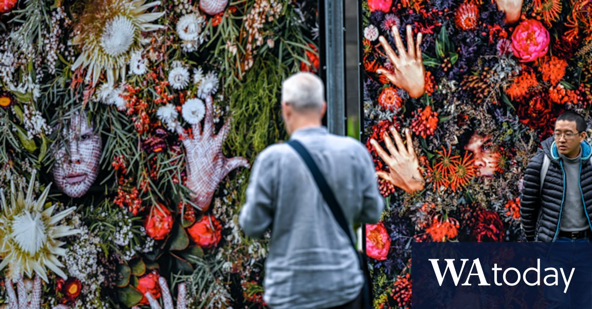 Photo 2022 transforms Melbourne with stunning public art display - Vimarsana News