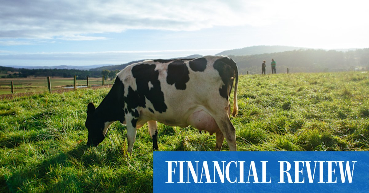 WA’s Brownes Dairy up for sale as high-protein boom drives M&A surge