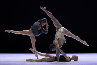 The technical quality of this new generation of dancers is excellent.