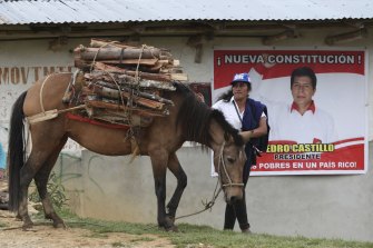 A woman walks her horse carrying firewood past a home decorated with a poster of Free Peru party presidential candidate Pedro Castillo in Puna, Peru.