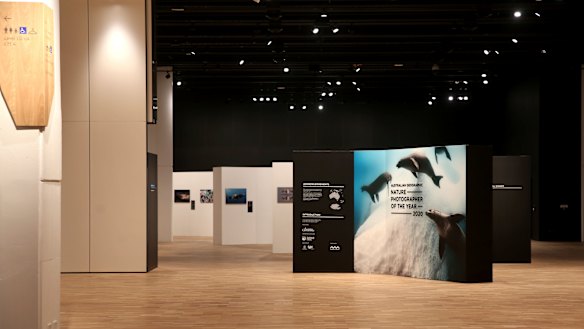 Exhibition space leads off the Hintze Hall. 