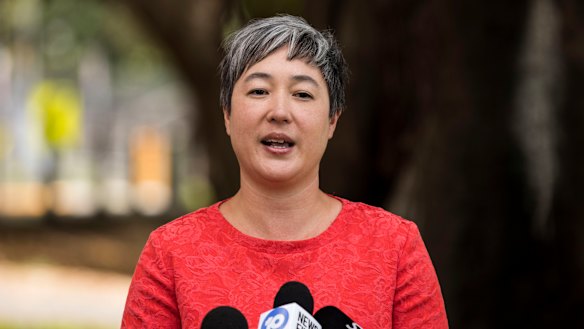 NSW Greens MP Jenny Leong speaks to the media on Tuesday. 