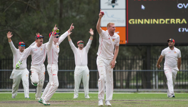 Tuggeranong bowler, Adam Blacka celebrates a wicket with team mates. Ginninderra's Jordie Misic gets caught out. 
