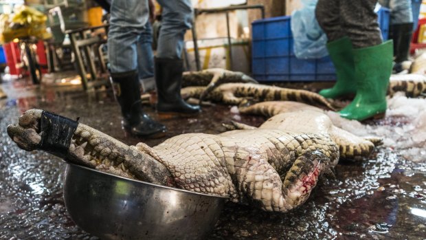 A dead crocodile is seen on the floor of Huangsha Seafood Market in Guangzhou.