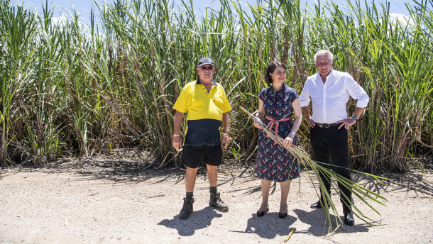 NSW Premier Gladys Berejiklian and Member for Tweed Geoff Provest meet with sugercane farmer Robert Quirk on Tuesday.