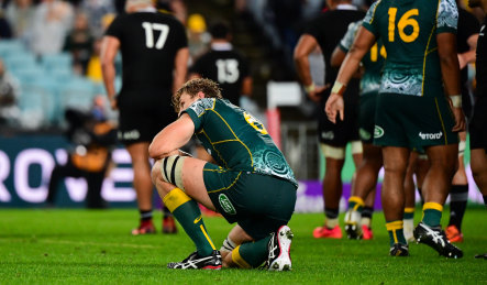 Ned Hanigan on one knee during the Wallabies' record loss.