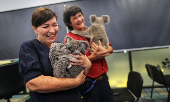 Environment Minister Leeanne Enoch meets two of the koalas being cared for at the RSPCA's hospital in Wacol, Brisbane. 