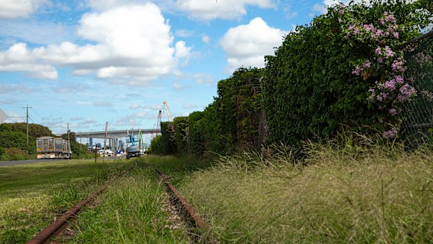 In partnership with industry, Bulimba Creek Catchment Coordinating Committee has launched the Gibson Island Rehabilitation Project. 