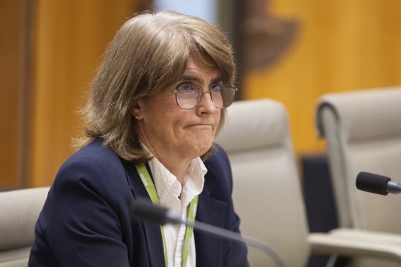 Michele Bullock during a Senate estimates hearing today.