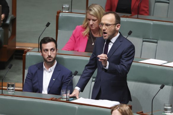 Adam Bandt in the House of Representatives on Wednesday.