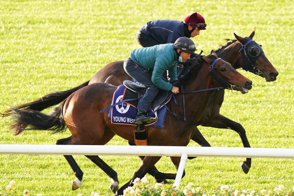 Favourite Young Werther will be having just his third start in the Victoria Derby at Flemington.