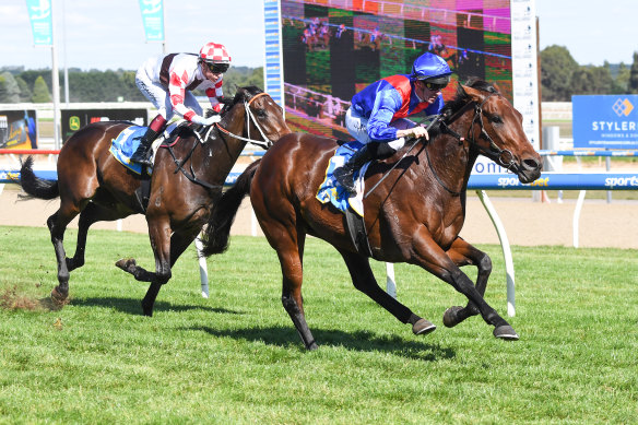 Race five selection Jayanthi wins a maiden at Ballarat in April last year.