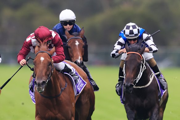 Tim Clark gets Shihonka (left) home at Rosehill on Saturday.