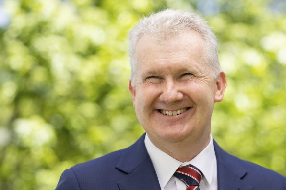 Arts Minister Tony Burke wants federal funding to help musicians achieve mainstream success.