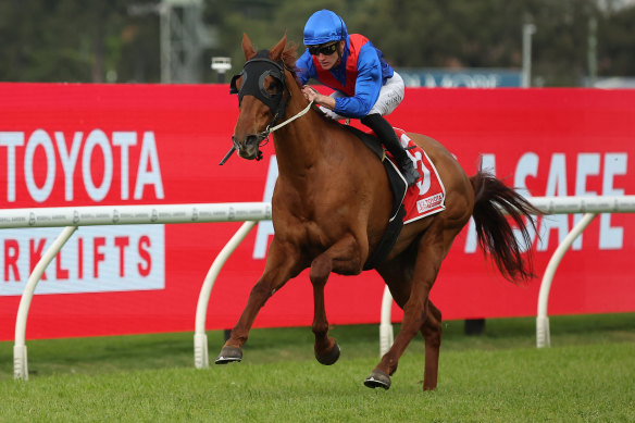 Chad Schofield  and Golden Path score an easy McKell Cup win in June.
