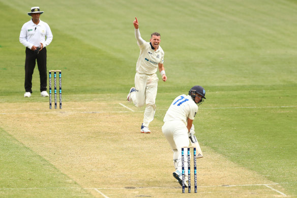 Peter Siddle in action on day one of the Sheffield Shield match between Victoria and NSW at the MCG.