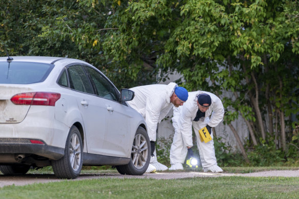 Investigators examine the ground at the scene of a stabbing in Weldon, Saskatchewan.