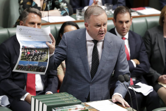 Opposition Leader Anthony Albanese accuses Scott Morrison of being "the master chef of cooking the books".