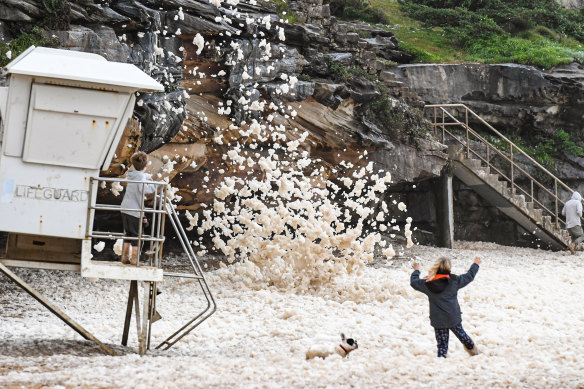 Foam from crashing waves piles up at Bronte Beach. 
