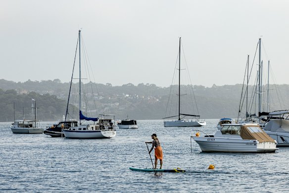 One agent has said he has seen prices softening in Double Bay.