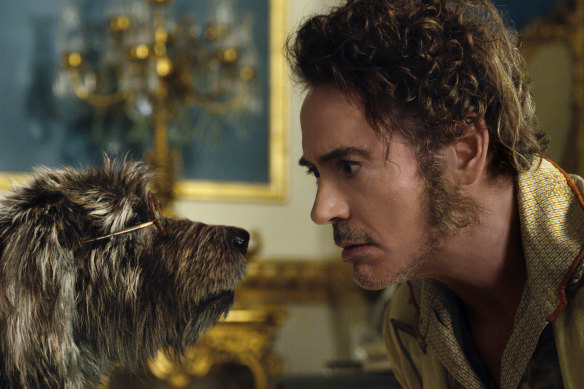 Robert Downey Jr disappoints as Dr Dolittle. 