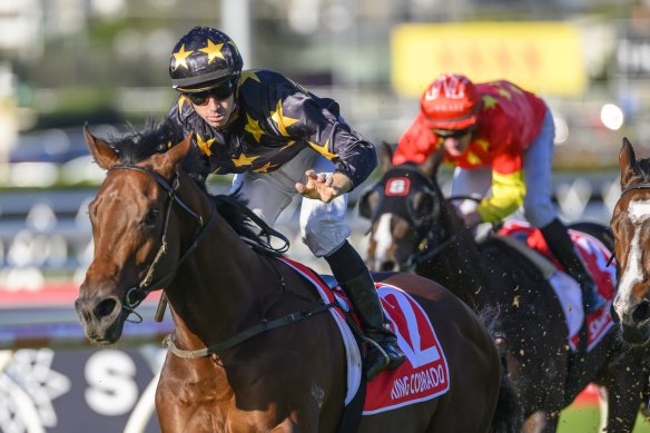 Jason Collett drives King Colorado away to win the JJ Atkins at Eagle Farm in June.