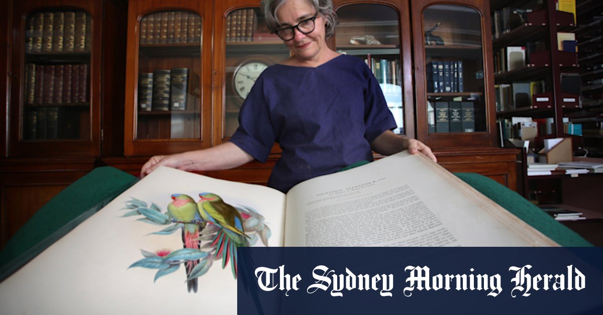 Australian Museum: The Birds of Australia Storybox featuring John Gould about to tour - Vimarsana News