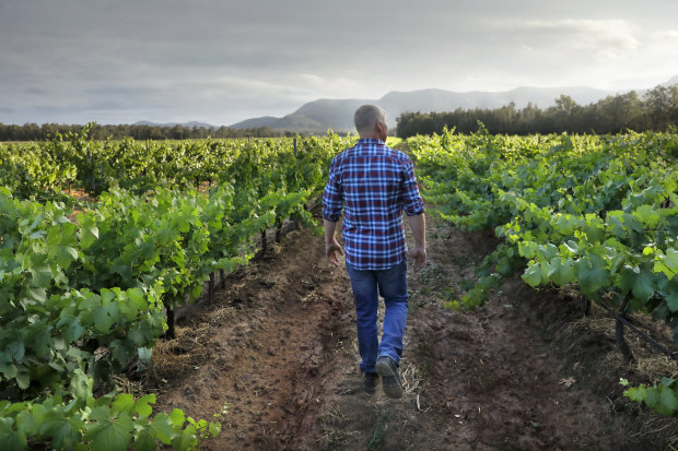 Andrew Thomas of Thomas Wines in the Hunter Valley.