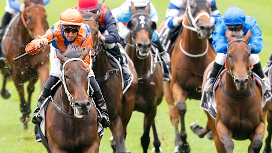 Think It Over cruises to an Apollo Stakes win with Nash Rawiller in the saddle.