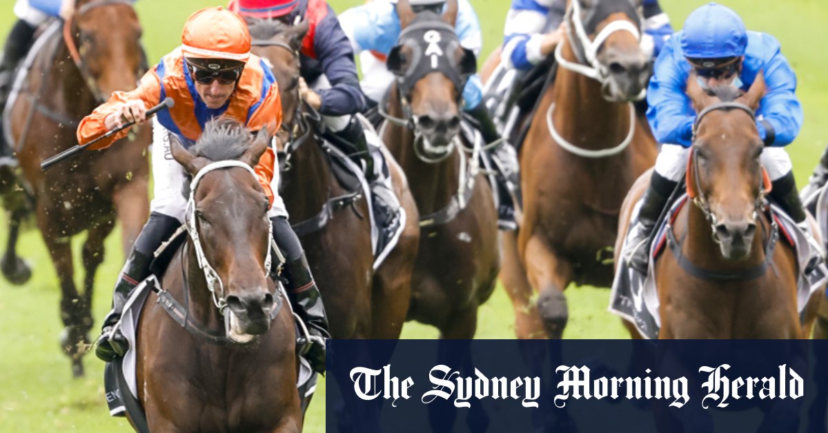 Think again: Punters overlook the obvious in Apollo Stakes