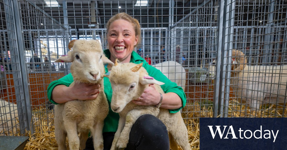 Melbourne Royal Show: Trying to reclaim its rural roots - Vimarsana News
