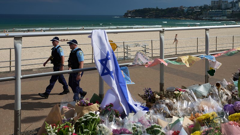 Police to carry weapons ‘you haven’t seen before’ at Sydney New Year events