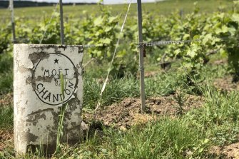 Sparkling wine is just one of the highlights of Champagne, France
