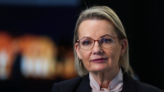 Opposition Leader Sussan Ley: a test for her party, and the country.