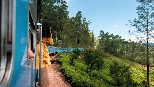 An Inspiring Vacations train journey through a Sri Lankan tea plantation.