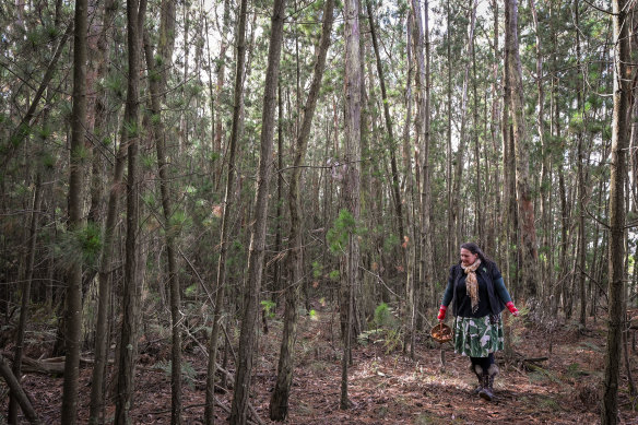 Popular areas like Woodend (pictured) and the Mornington Peninsula are seeing lots of foragers visiting.