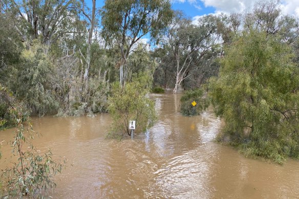 Flooding of the Murray River near Echuca last month. The Murray is expected to peak at Wakool Junction, north of Swan Hill, by about midday on Tuesday.