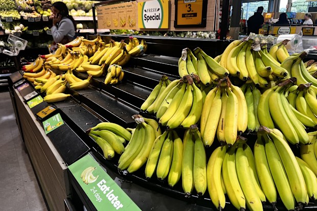bananas appear ripe but are not due to the cool weather taking longer to ripen