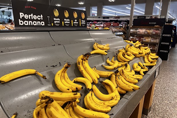 bananas appear ripe but are not due to the cool weather taking longer to ripen