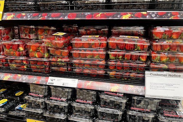 blueberries out of season and expensive strawberries raspberries better