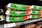 Supermarket eggs and chicken 'safe to eat'.
