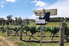 BioScout units are installed on farms and vineyards across Australia, New Zealand and internationally.