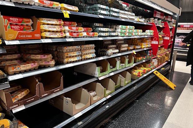 best supermarket eggs crowned canstar